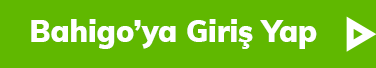bahigo giriş yap butonu